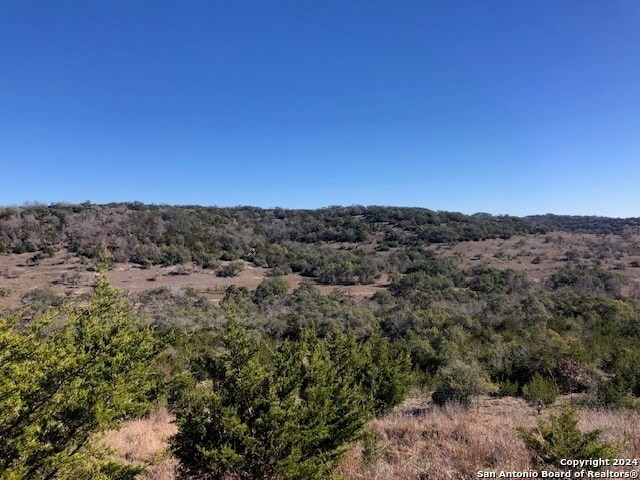 TBD Sanctuary Ln, Blanco TX, 78606 land for sale