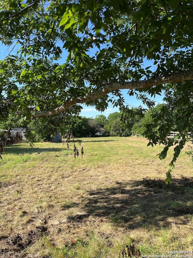 557 Collins St, Seguin TX, 78155 land for sale