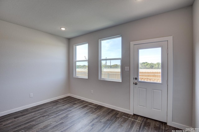 doorway with dark wood-type flooring