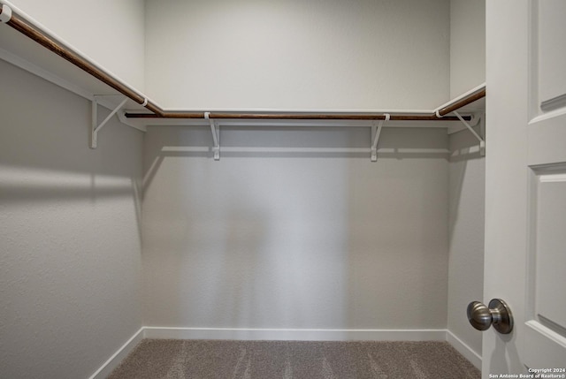 spacious closet featuring carpet flooring