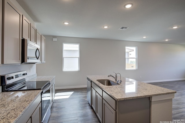 kitchen featuring plenty of natural light, sink, stainless steel appliances, and a kitchen island with sink