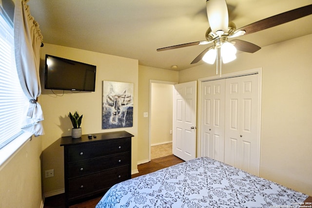 bedroom with multiple windows, dark hardwood / wood-style floors, a closet, and ceiling fan