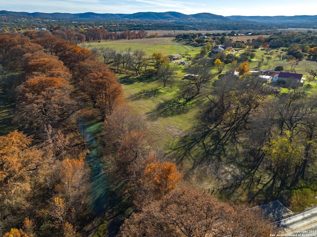 drone / aerial view with a mountain view