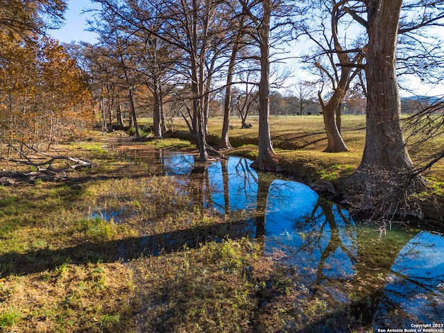 view of water feature