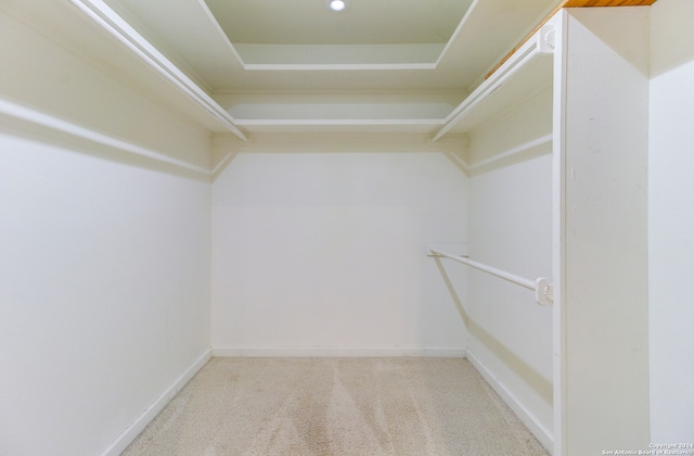 spacious closet with carpet floors