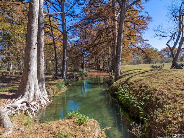 view of water feature