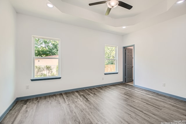 spare room with a healthy amount of sunlight, hardwood / wood-style flooring, and a raised ceiling