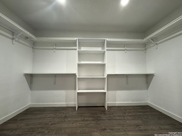 walk in closet featuring dark hardwood / wood-style flooring