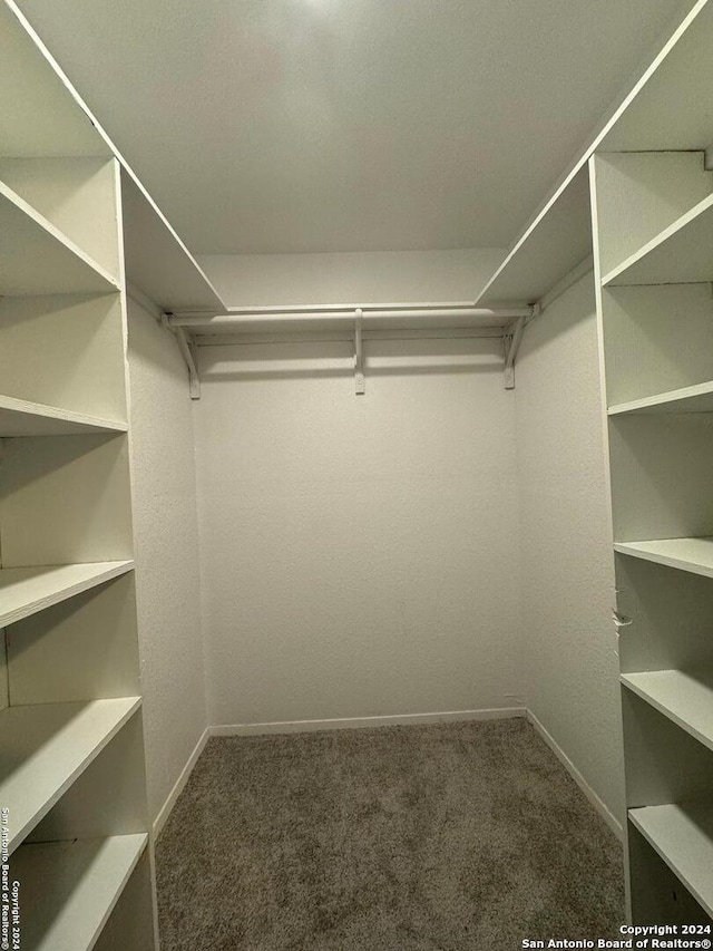 spacious closet featuring carpet floors