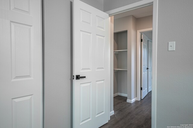 hall featuring dark hardwood / wood-style floors