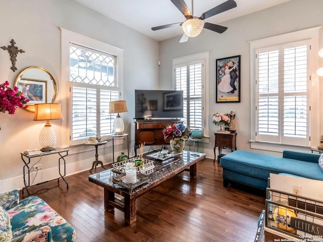 living room featuring dark hardwood / wood-style flooring and a wealth of natural light