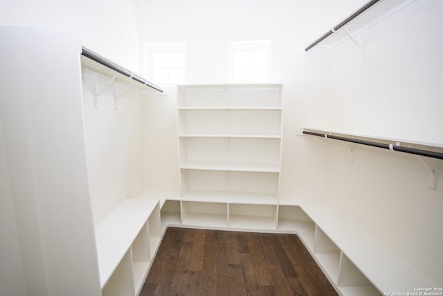 walk in closet featuring dark hardwood / wood-style floors