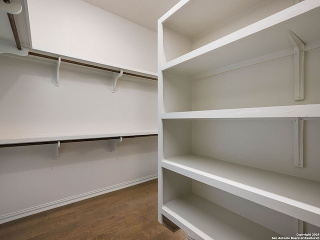 spacious closet featuring dark wood-type flooring