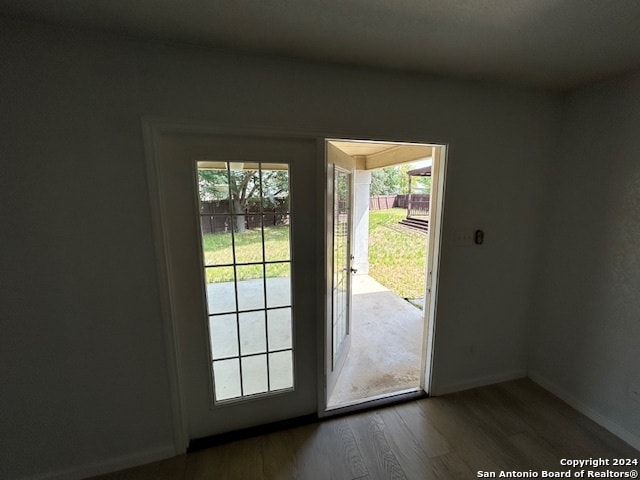 entryway featuring plenty of natural light and dark hardwood / wood-style flooring