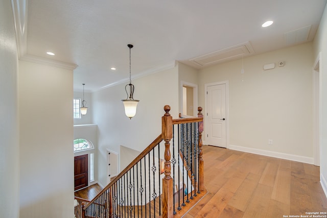 hallway featuring ornamental molding and hardwood / wood-style floors