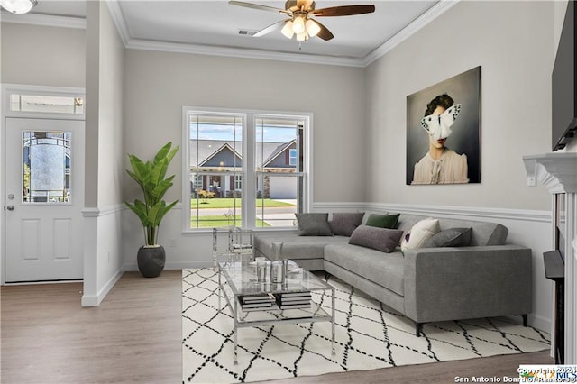 living room featuring ceiling fan, light wood-type flooring, and ornamental molding