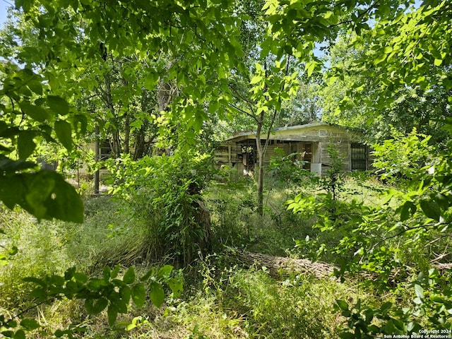 view of local wilderness