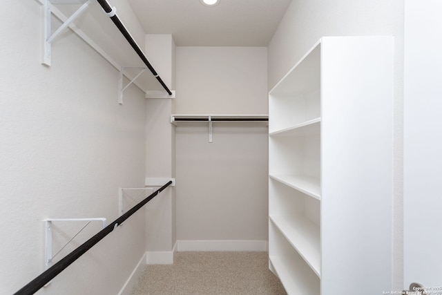 spacious closet featuring light colored carpet