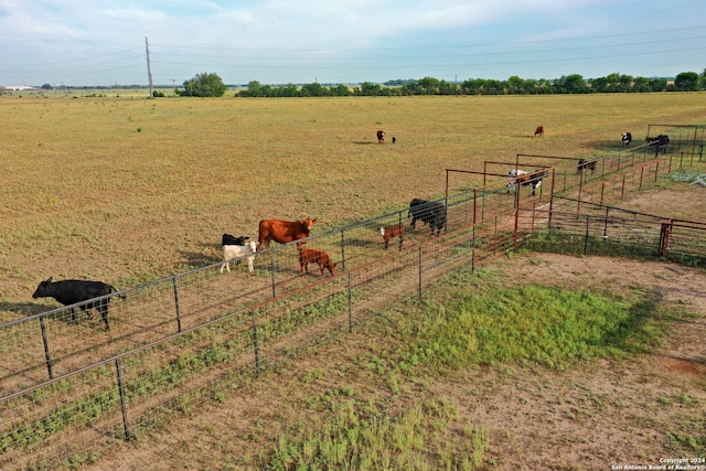 view of yard featuring a rural view