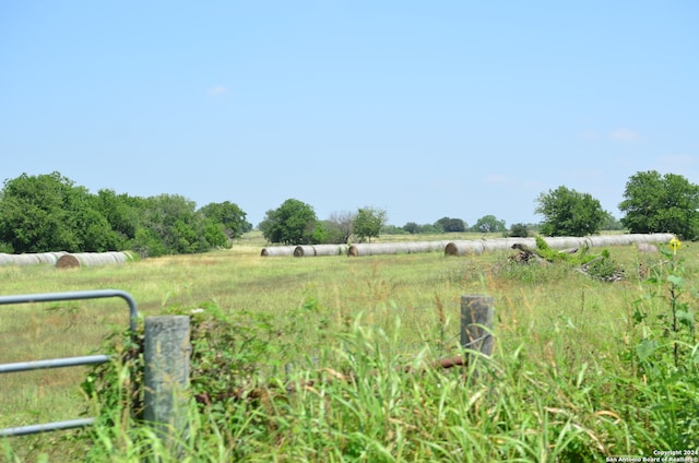 view of yard with a rural view