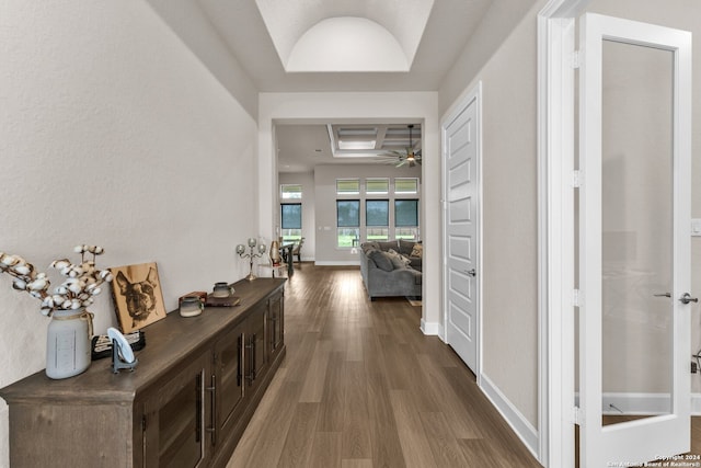 hallway with a raised ceiling and dark hardwood / wood-style flooring