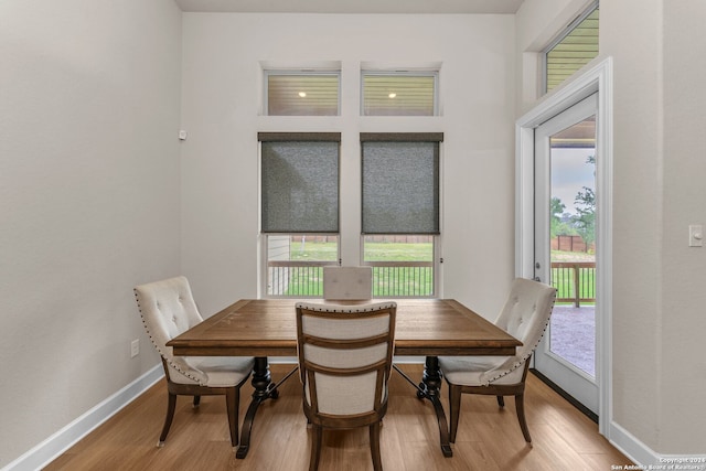 dining space featuring a wealth of natural light and hardwood / wood-style floors