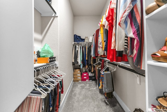 spacious closet featuring carpet