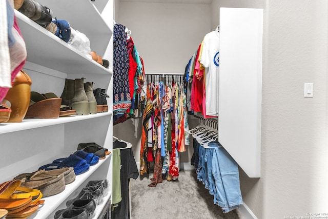 spacious closet with carpet flooring