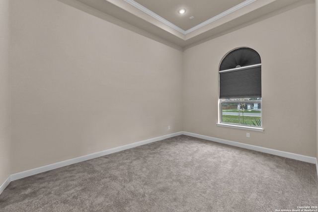 empty room featuring carpet flooring, ornamental molding, and a raised ceiling