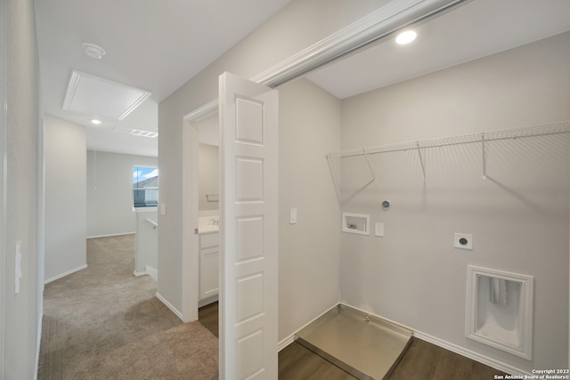 laundry room featuring electric dryer hookup, carpet, washer hookup, and gas dryer hookup