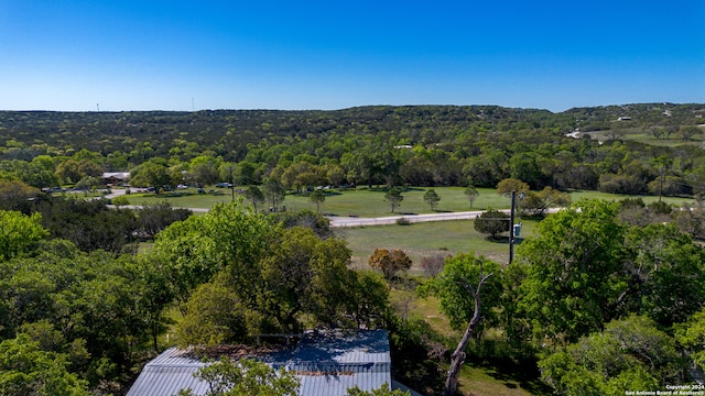 Listing photo 3 for 130 Scenic View Dr, Blanco TX 78606