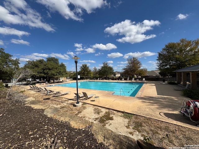 view of pool featuring a patio