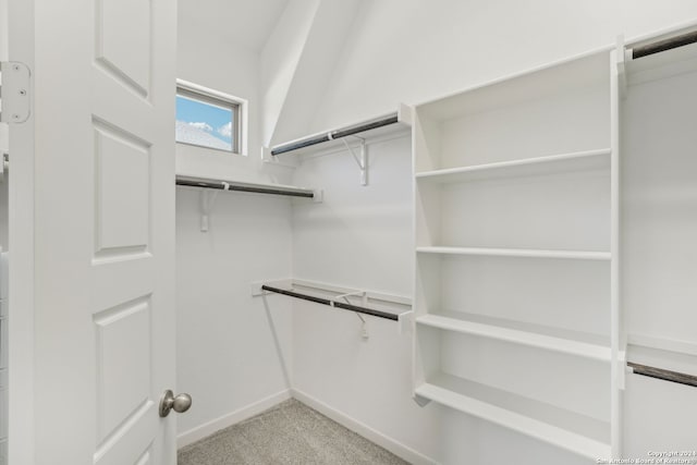 spacious closet with light carpet