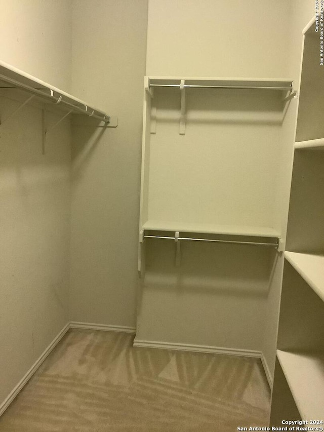 walk in closet with carpet flooring