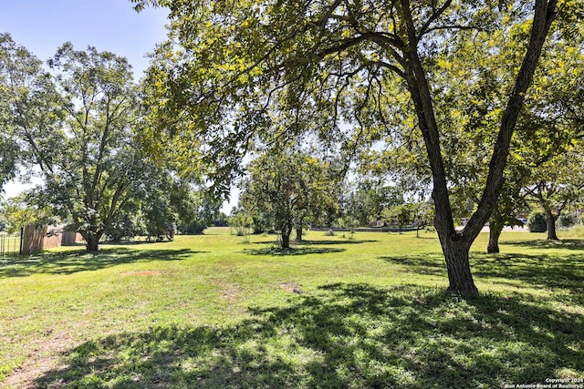 view of yard