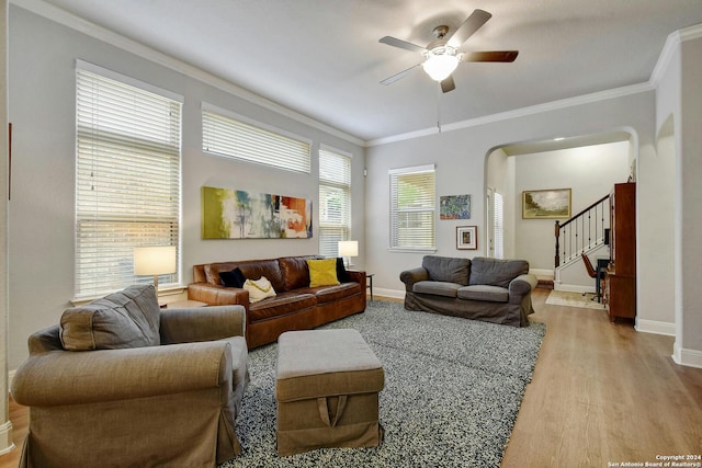 living room with ceiling fan, light wood-type flooring, and crown molding