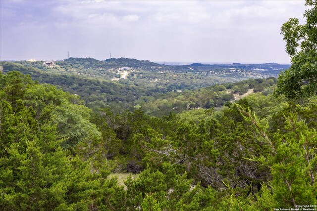 view of mountain view