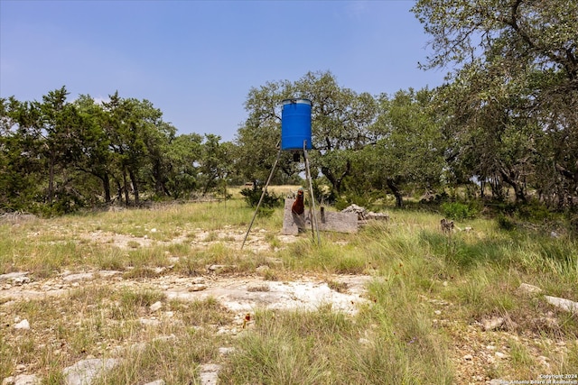 view of local wilderness