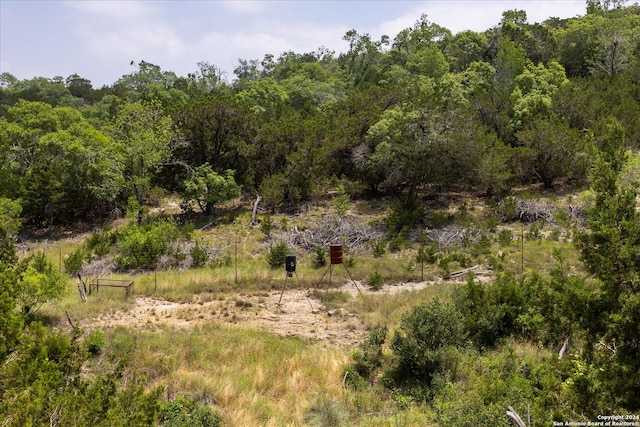 view of nature