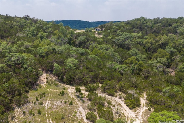 view of bird's eye view