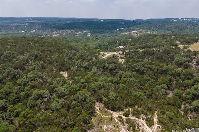 view of bird's eye view