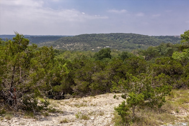 view of mountain feature