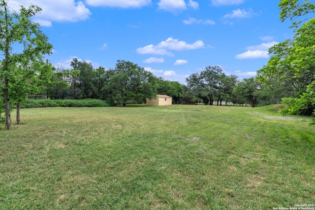 view of yard featuring a storage unit