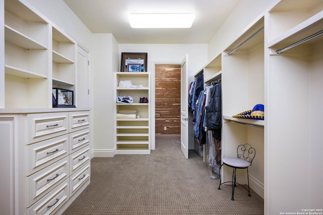 spacious closet featuring carpet flooring