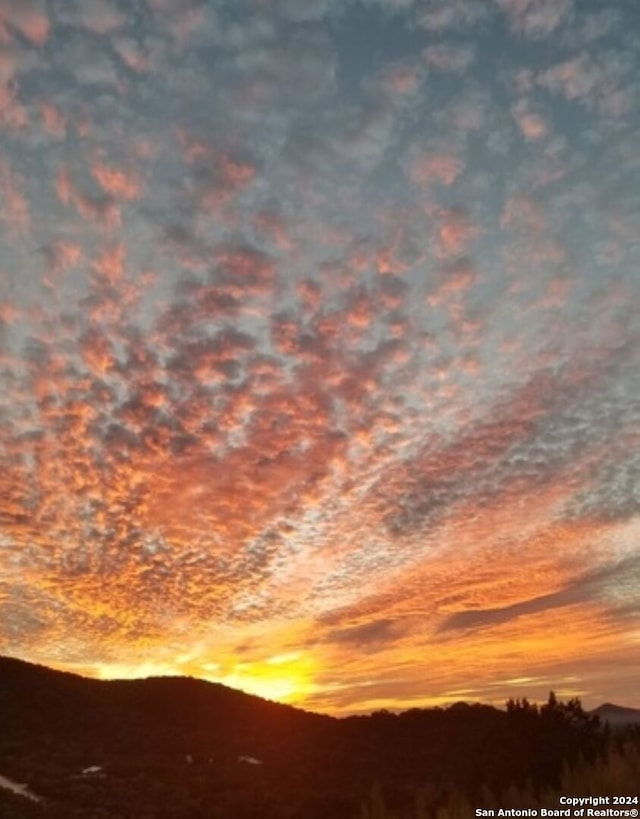 nature at dusk with a mountain view