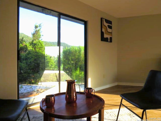 dining room with a wealth of natural light and wood-type flooring