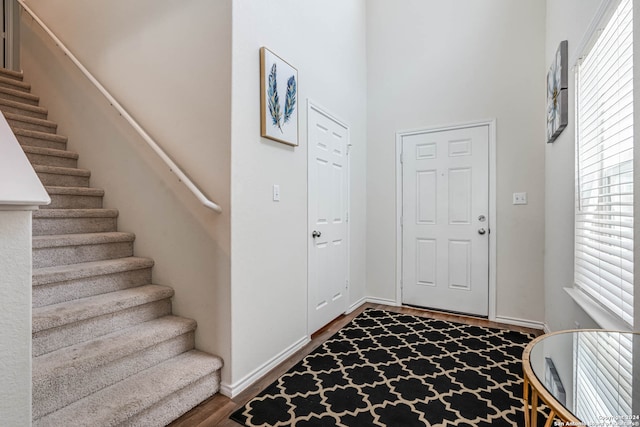 foyer with dark wood-type flooring