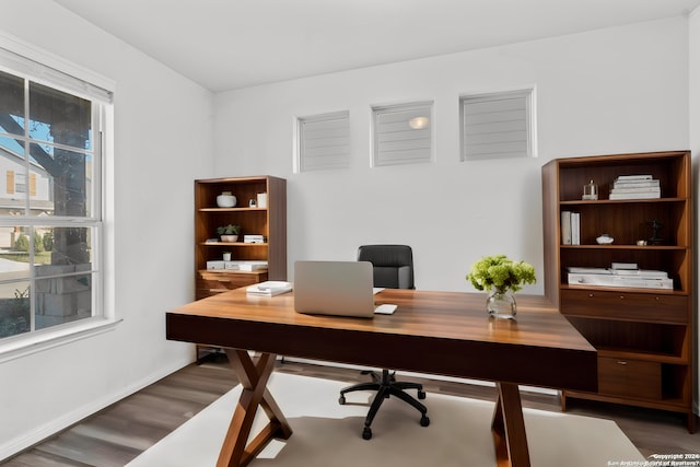 office featuring dark hardwood / wood-style floors