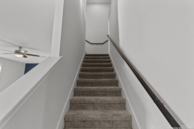 stairs featuring carpet floors and ceiling fan