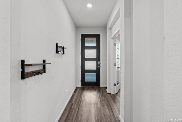 doorway featuring dark hardwood / wood-style floors